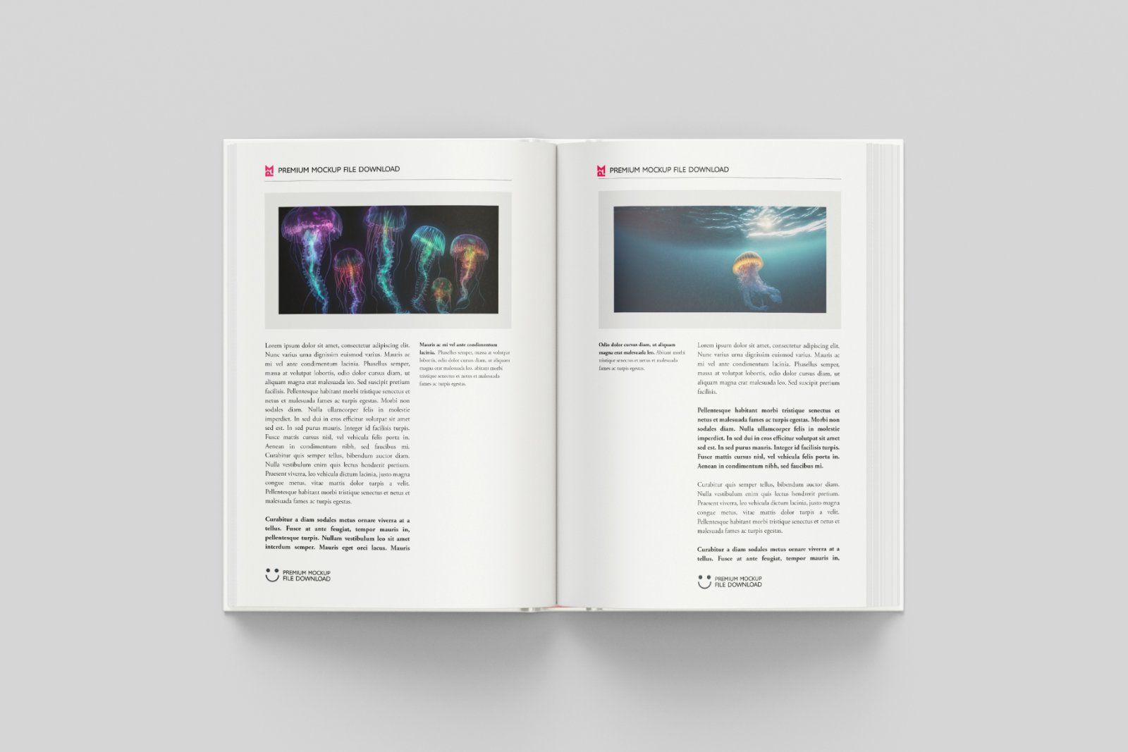 Hardcover book mockup — image 4