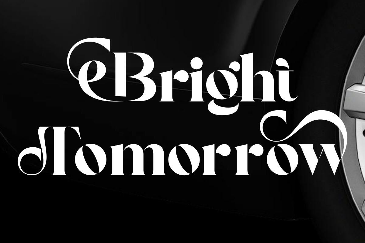 Bright Agnia — image 4