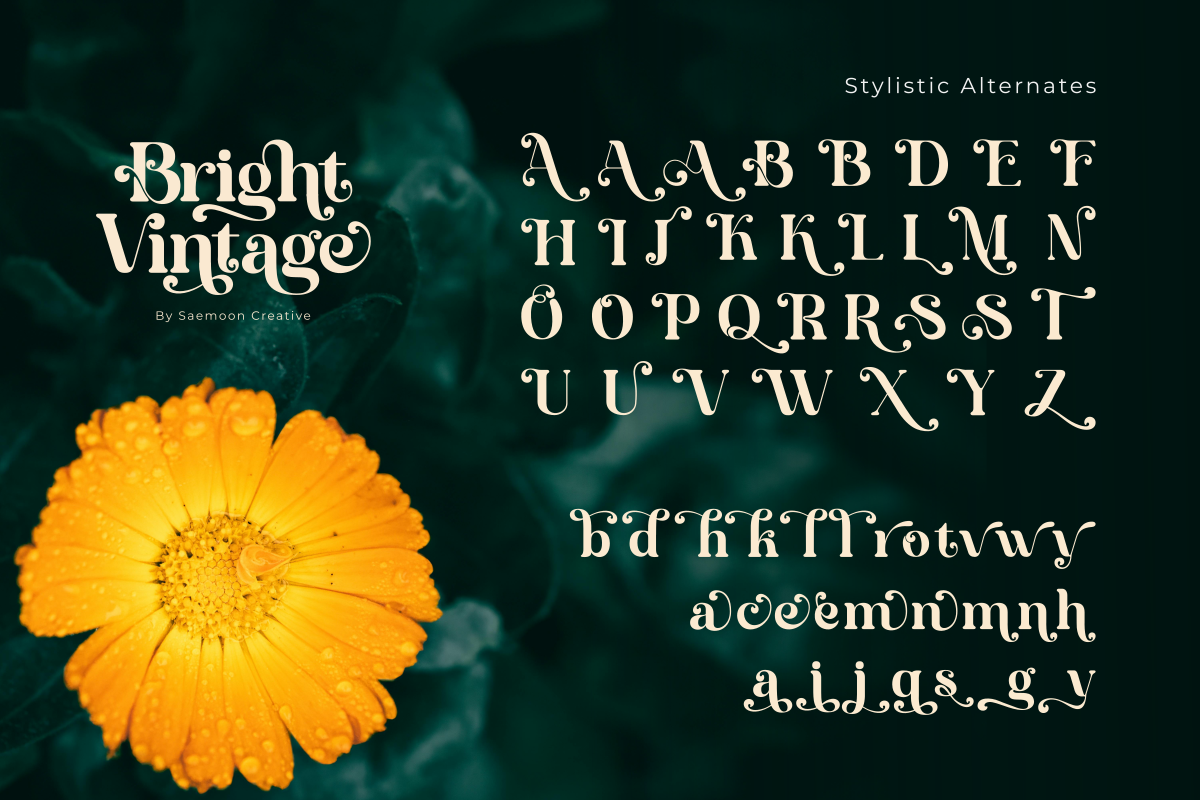 Bright Vintage — image 12