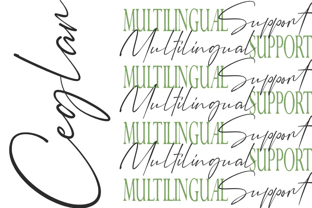 Ceglar – Elegant & Luxury Font Trio — image 30