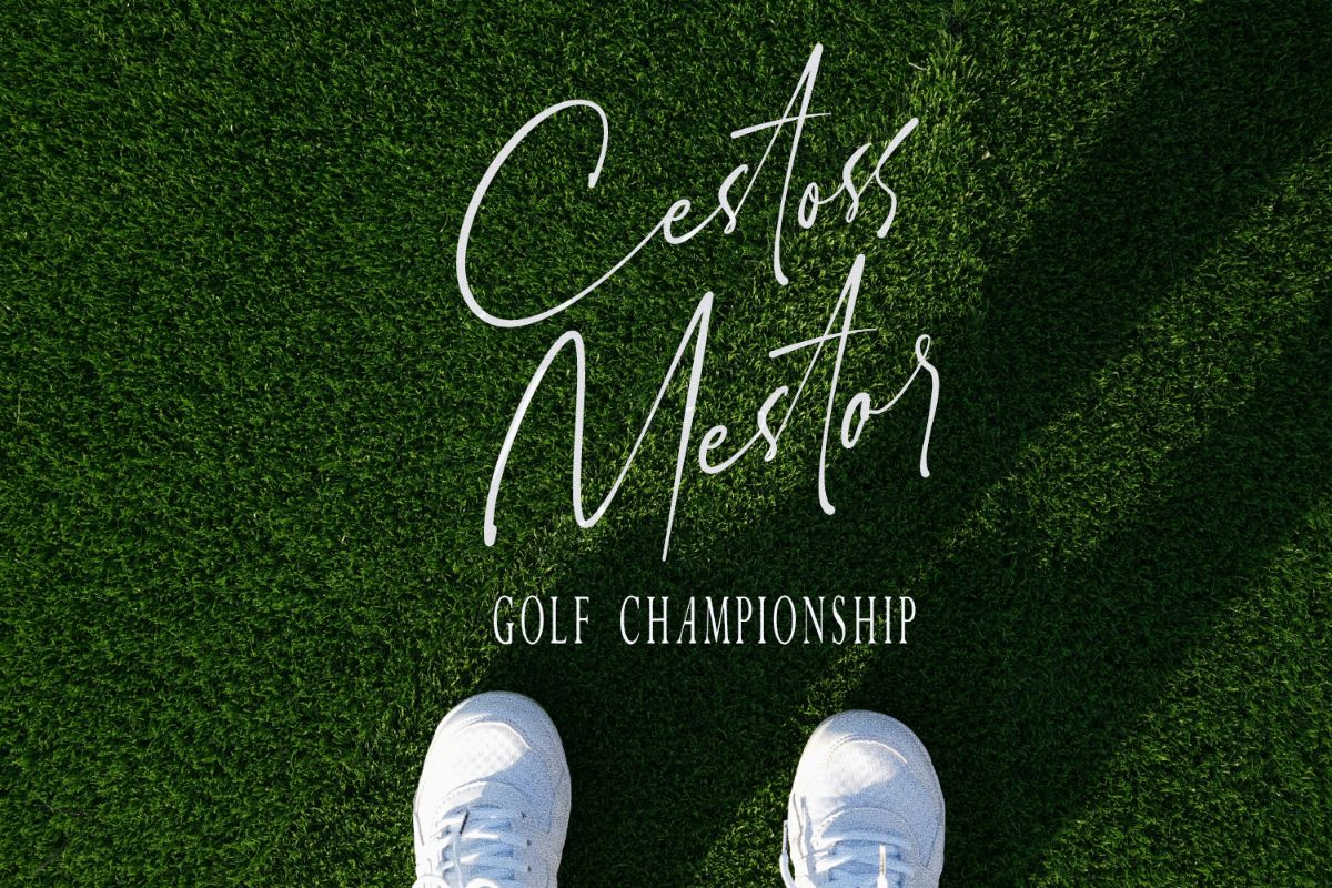 Ceglar – Elegant & Luxury Font Trio — image 36