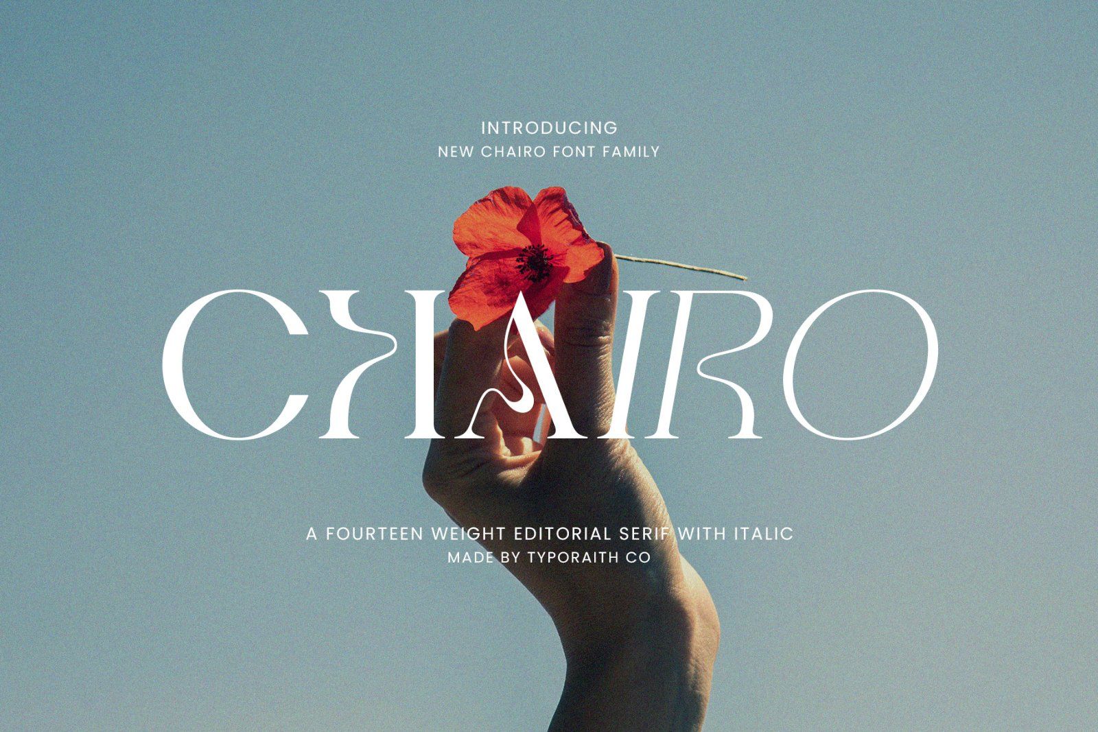 Chairo | Editorial Serif Font Family — image 1