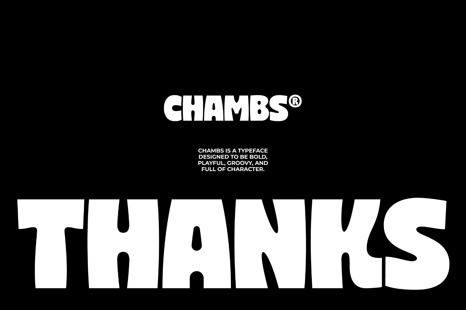 Chambs — image 12