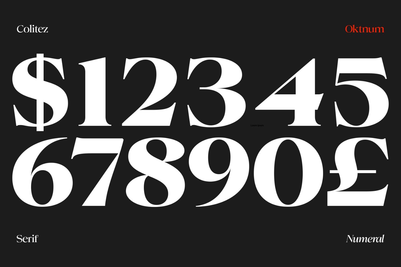 Colitez - Editorial Serif — image 13