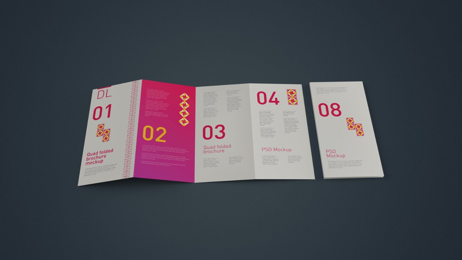 DL Quad Fold Brochure Mockup - 5PSD bundle — image 5