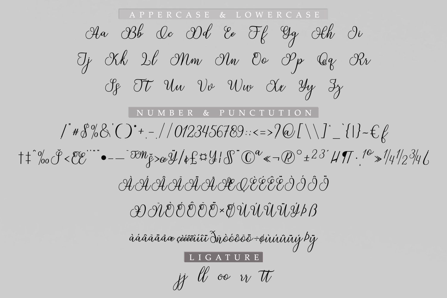 Delhi Script — image 5