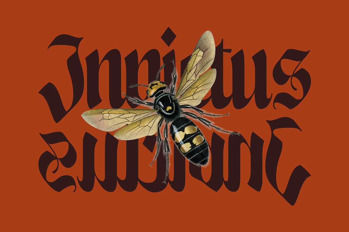 Enigmatic Waesbendiy — Blackletter Font — image 9