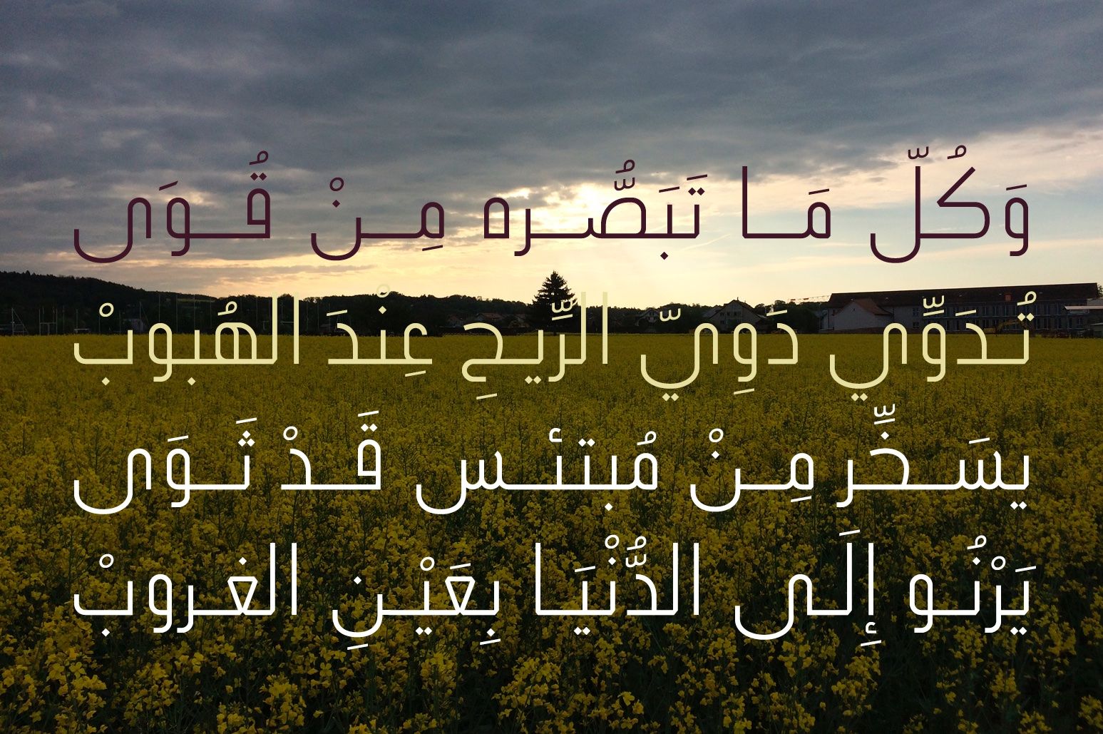 Ikseer - Arabic Typeface — image 5