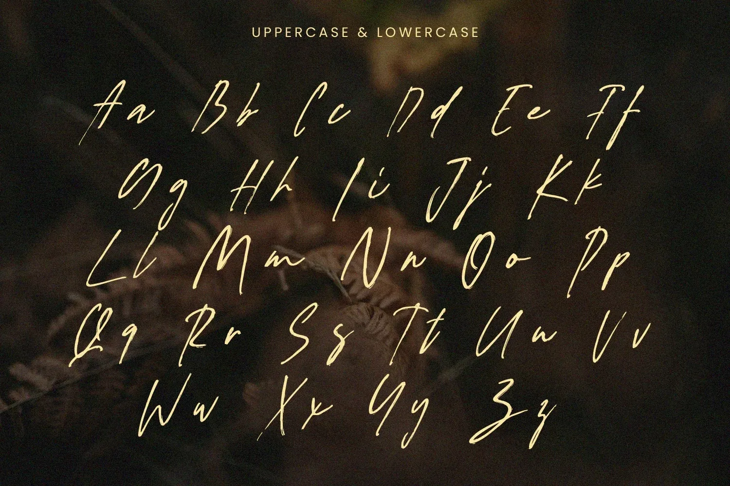 Figuea Granatae – Handwritten Script — image 10