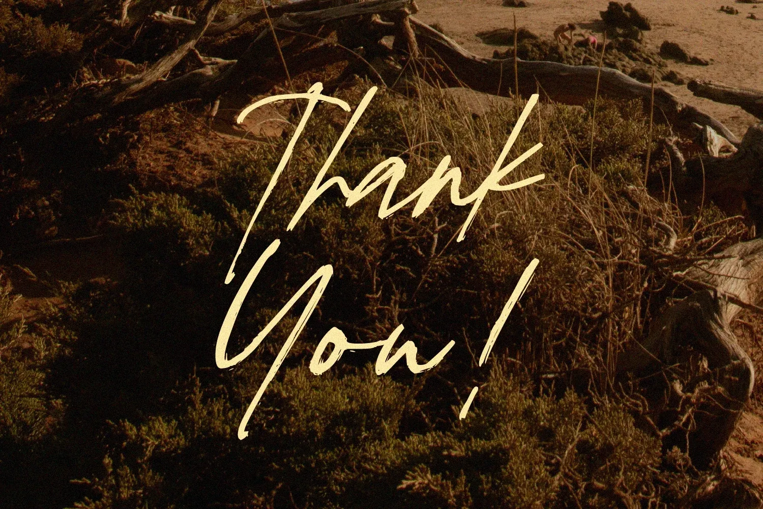 Figuea Granatae – Handwritten Script — image 12