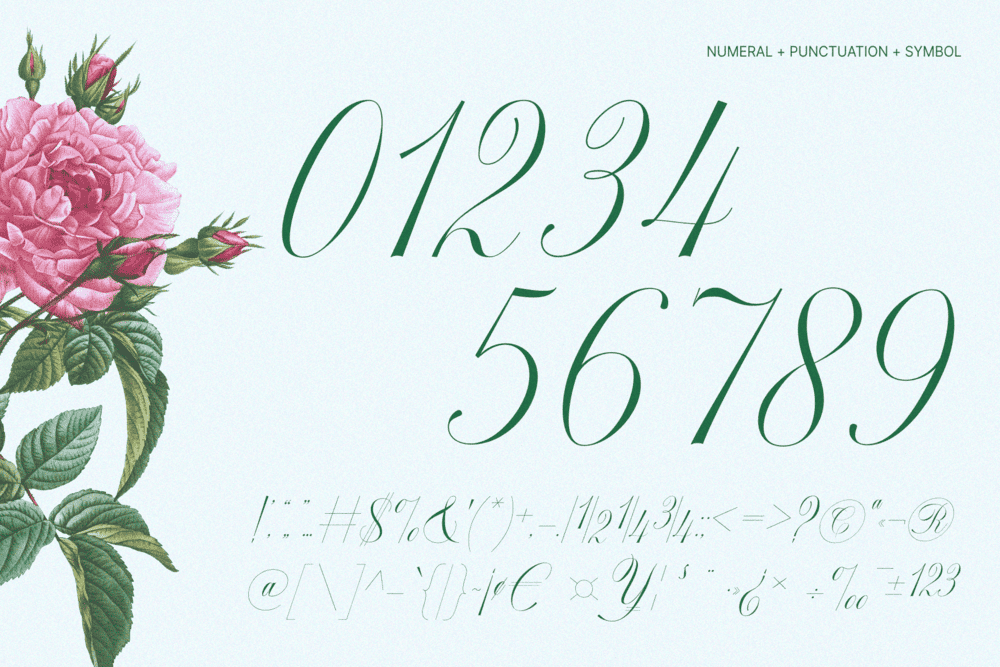 GEFUHATPIN — Elegant Calligraphy Font — image 21