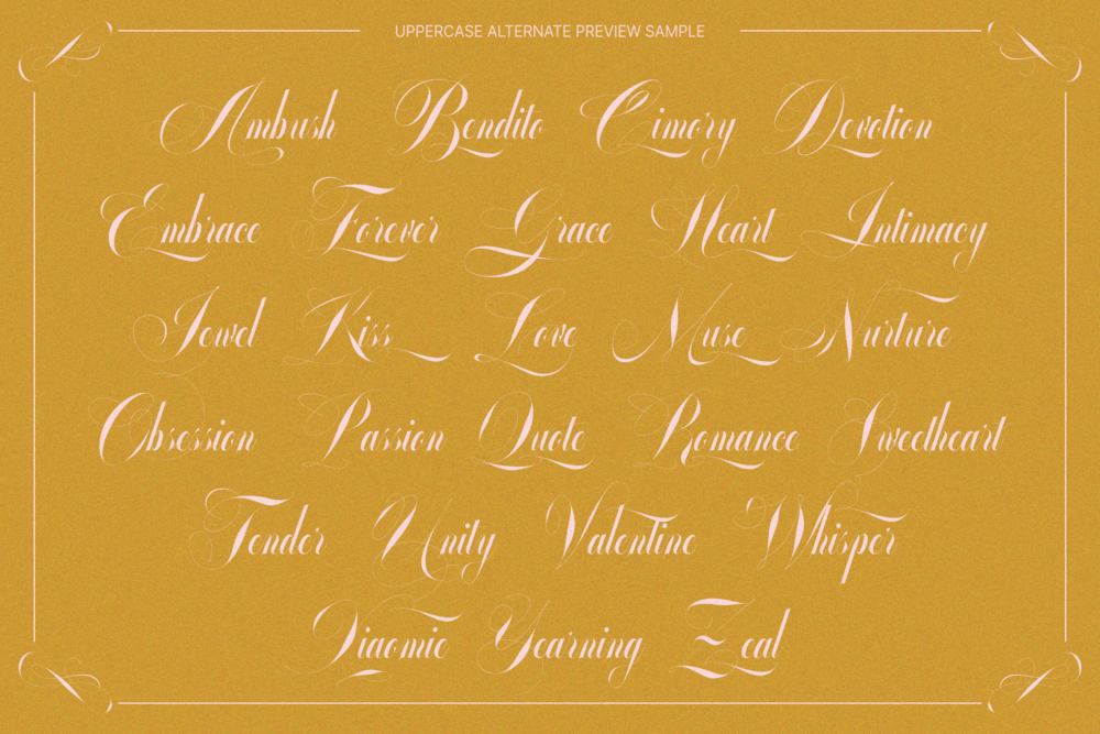 GLOWING ROMANCE — Calligraphy Luxury Font — image 20