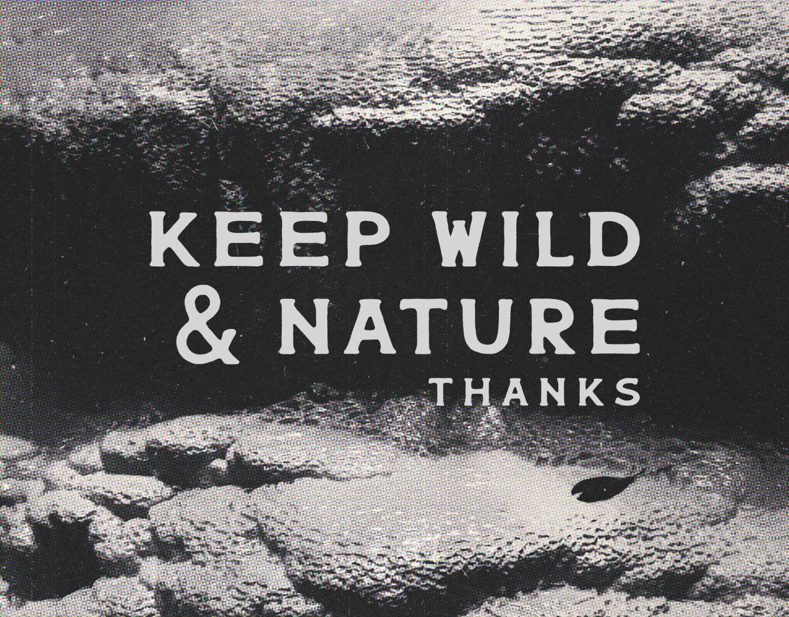 Gourdam — image 4