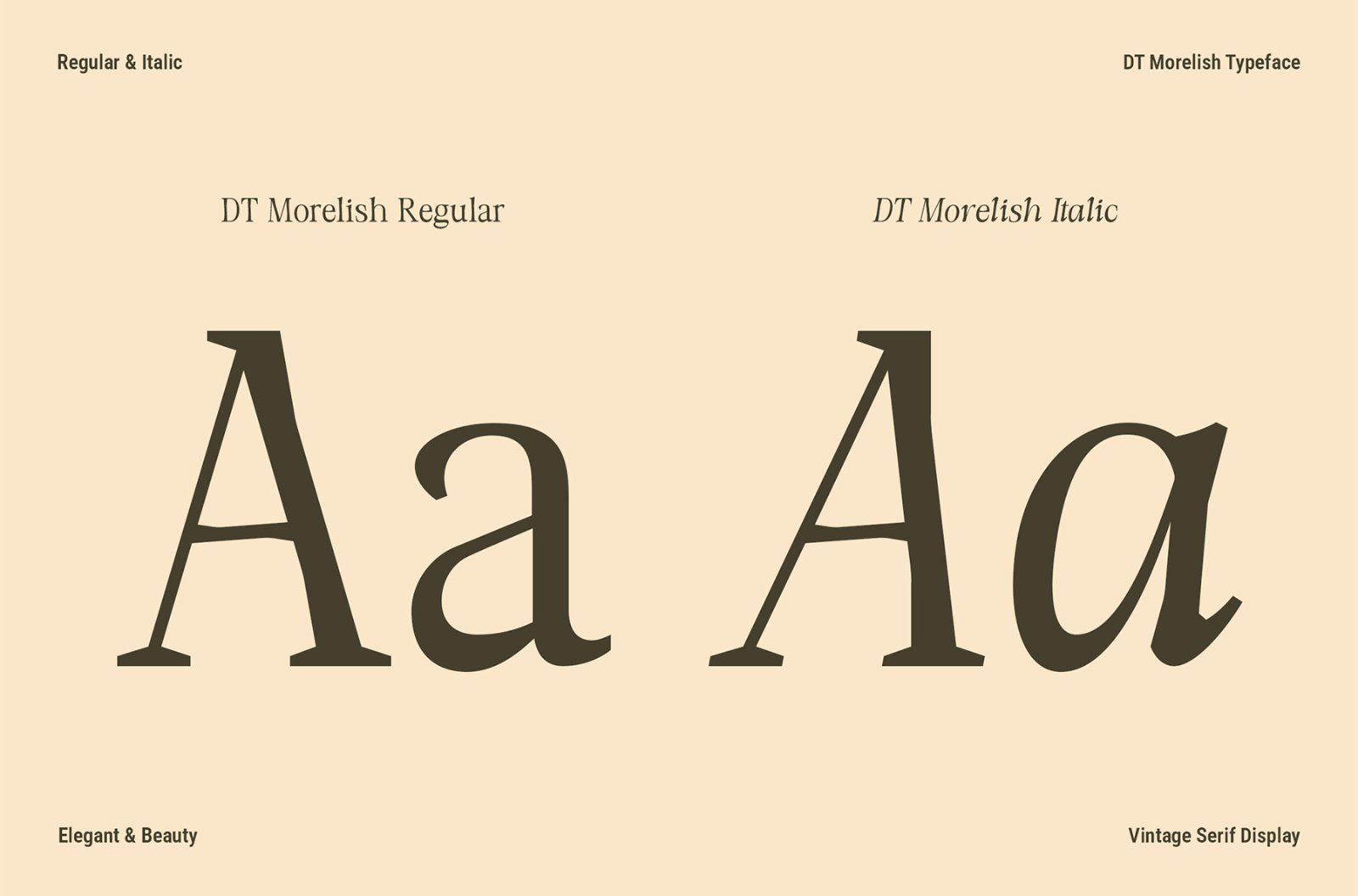 DT Morelish — image 6