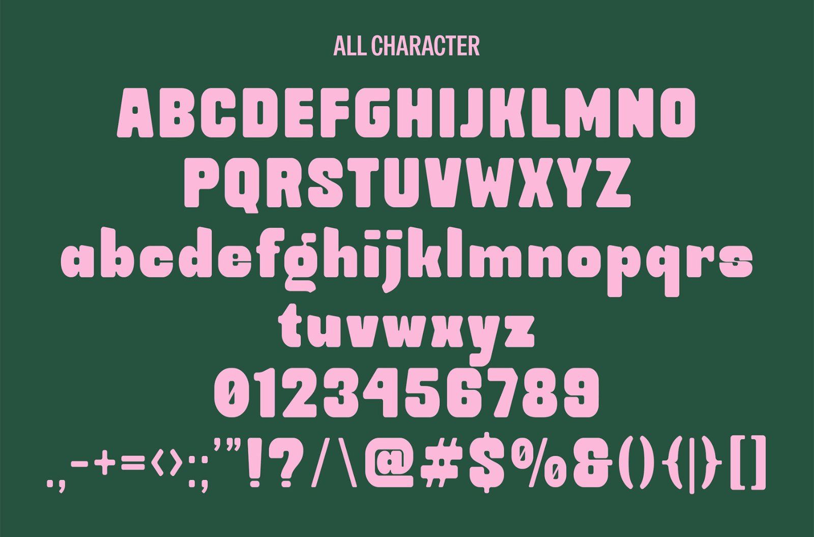 DT Youthy Bold — image 8
