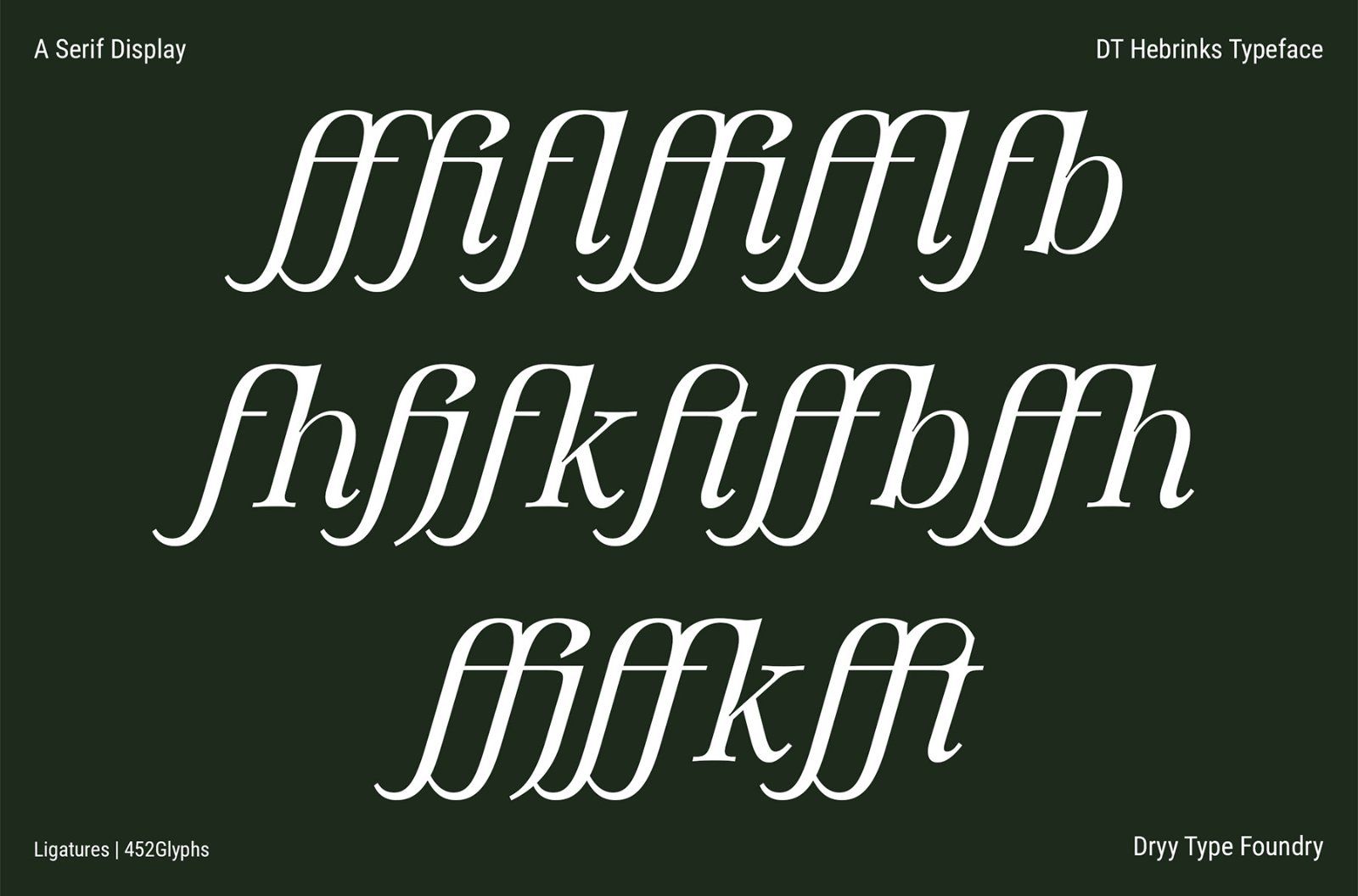 DT Hebrinks — image 8