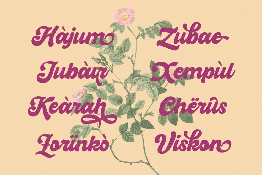 Hiderh Mahen — Groovy Retro Font — image 25