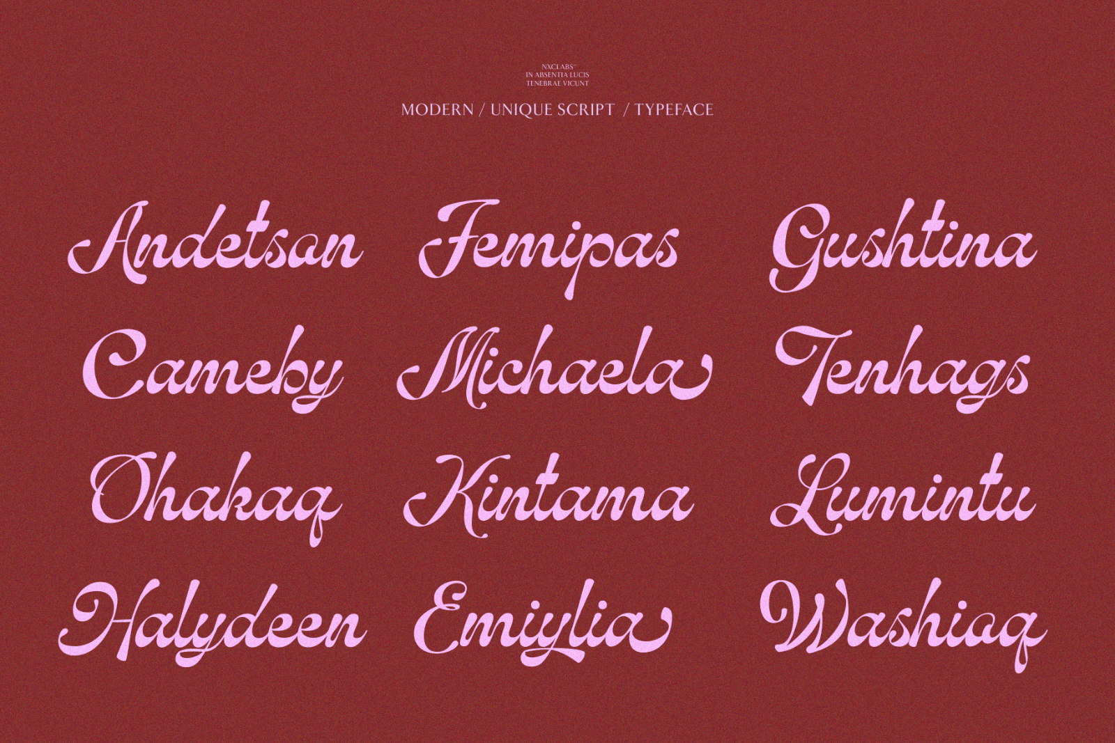 Hubiny — Elegant Script Calligraphy Font — image 5