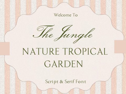The Jungle - Script Serif Font