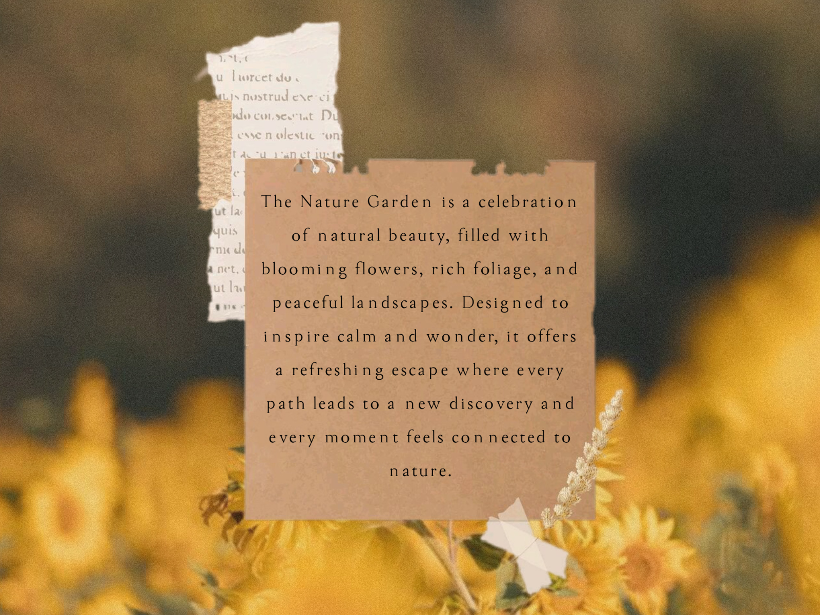 The Jungle - Script Serif Font — image 2