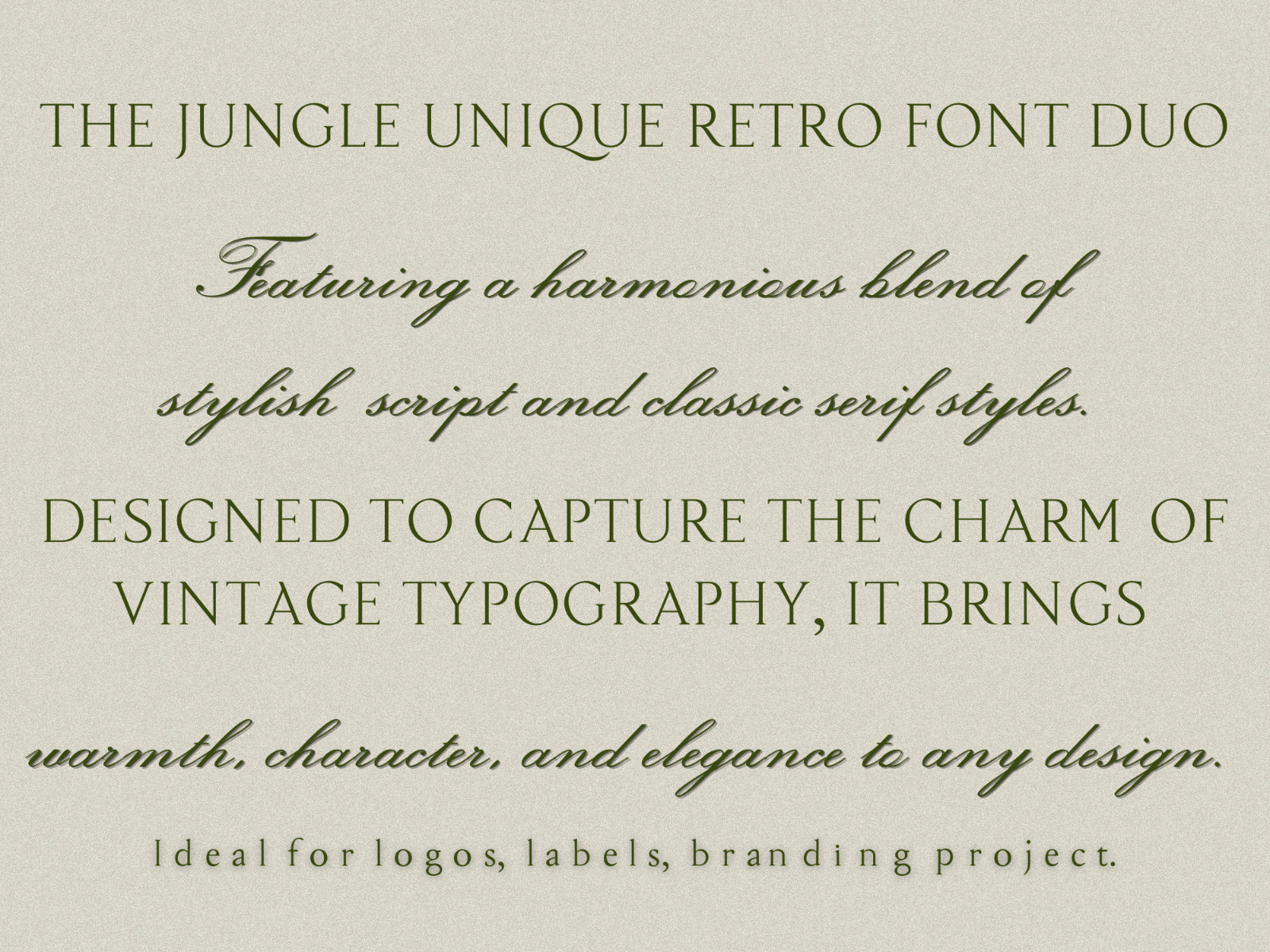 The Jungle - Script Serif Font — image 7
