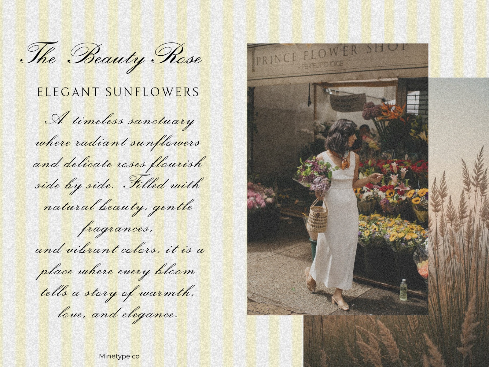 The Jungle - Script Serif Font — image 3