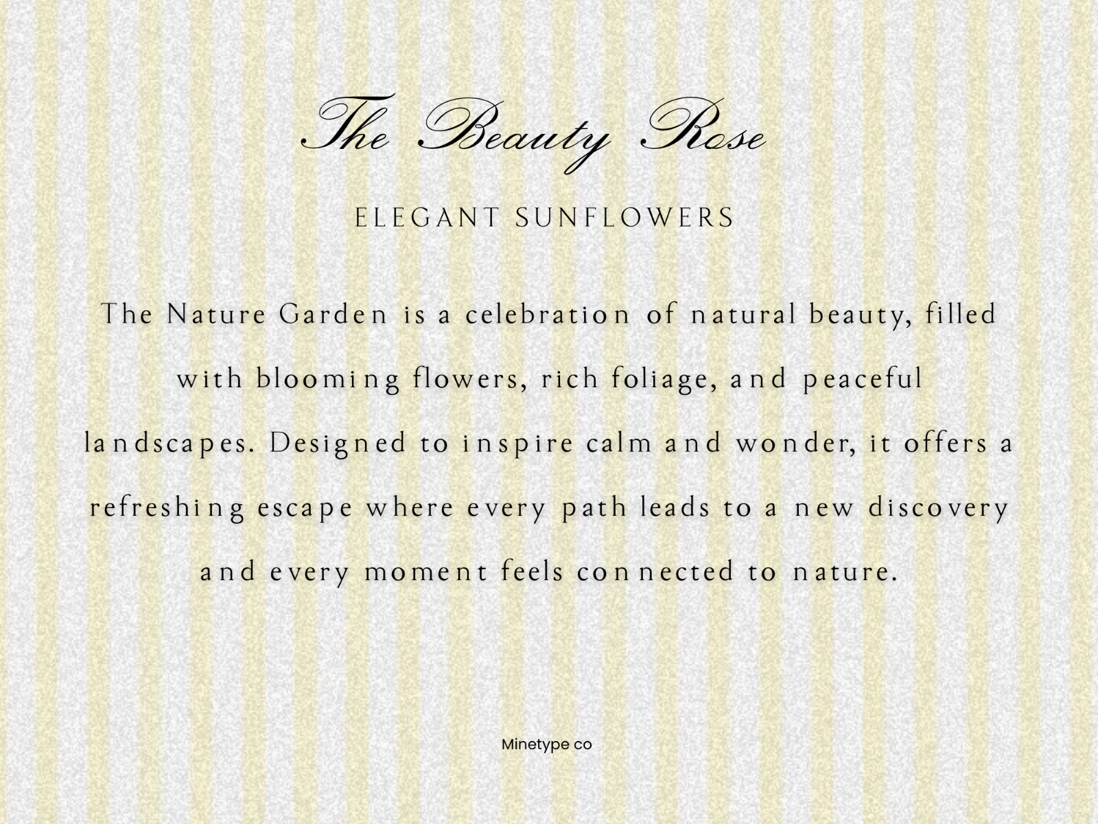 The Jungle - Script Serif Font — image 4