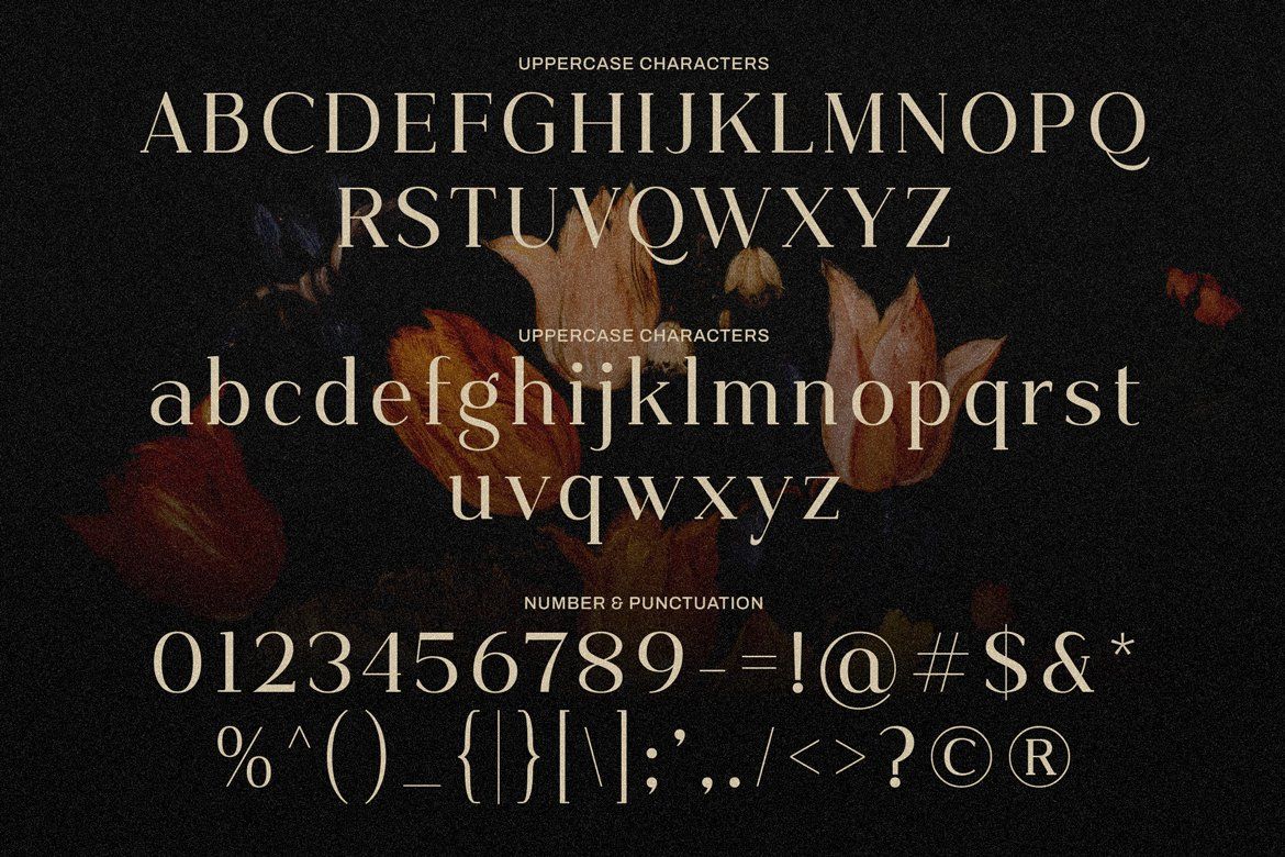 Kofdoh Elegant Serif Font Family — image 9
