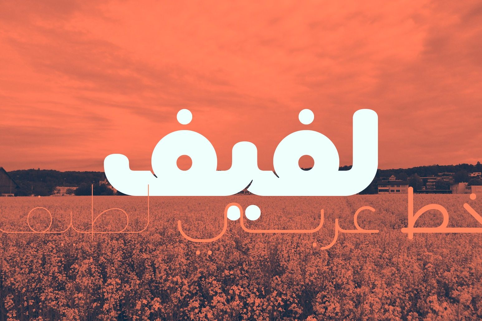 Lafeef - Arabic Typeface — image 1