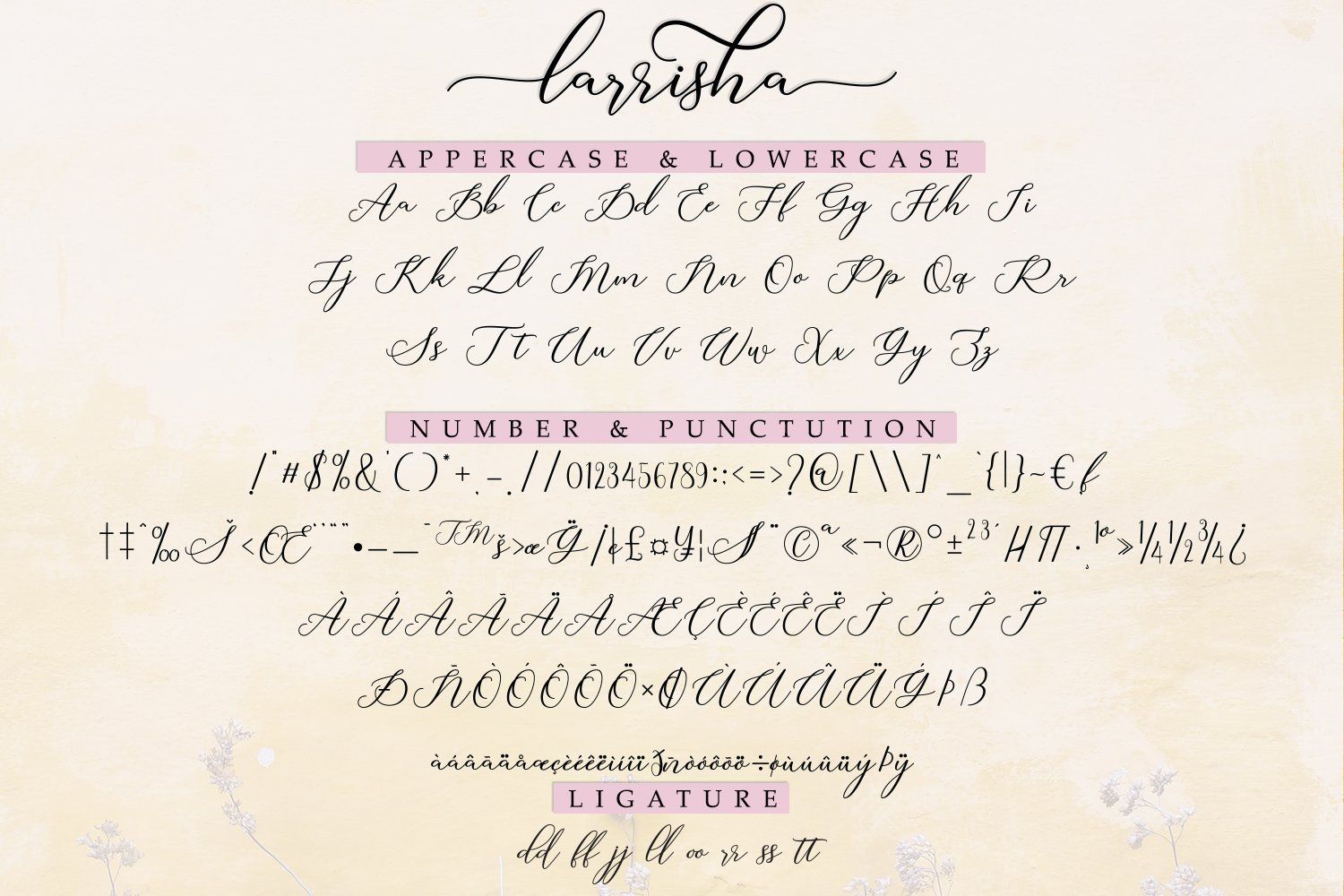 Larrisha Script — image 5