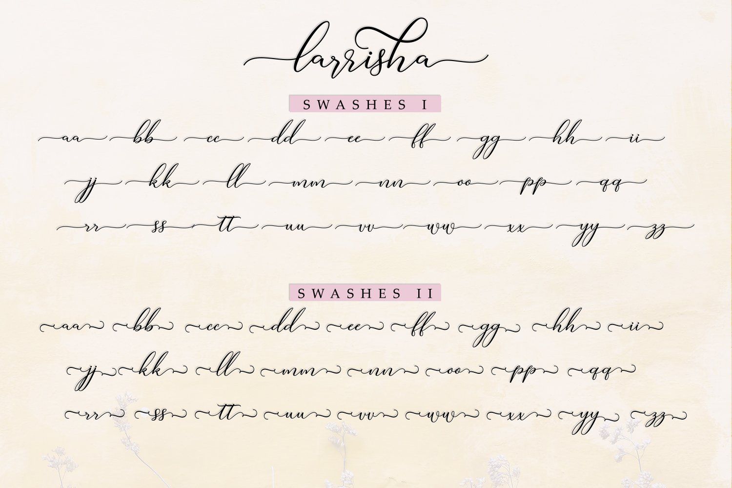 Larrisha Script — image 6