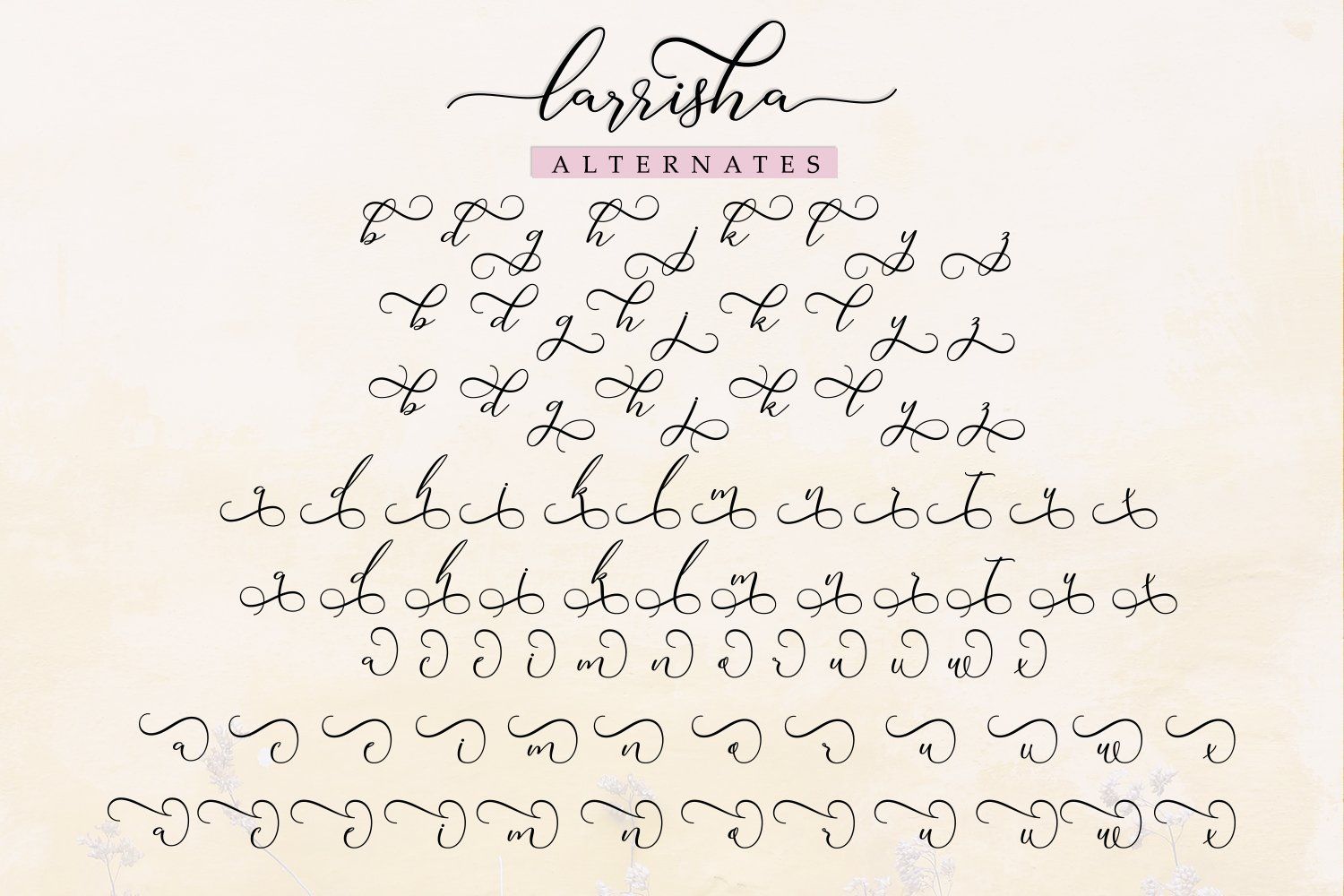 Larrisha Script — image 7