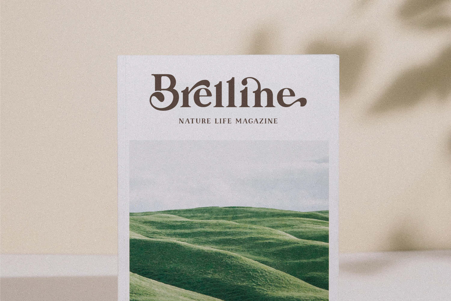 Linstone - modern serif — image 7