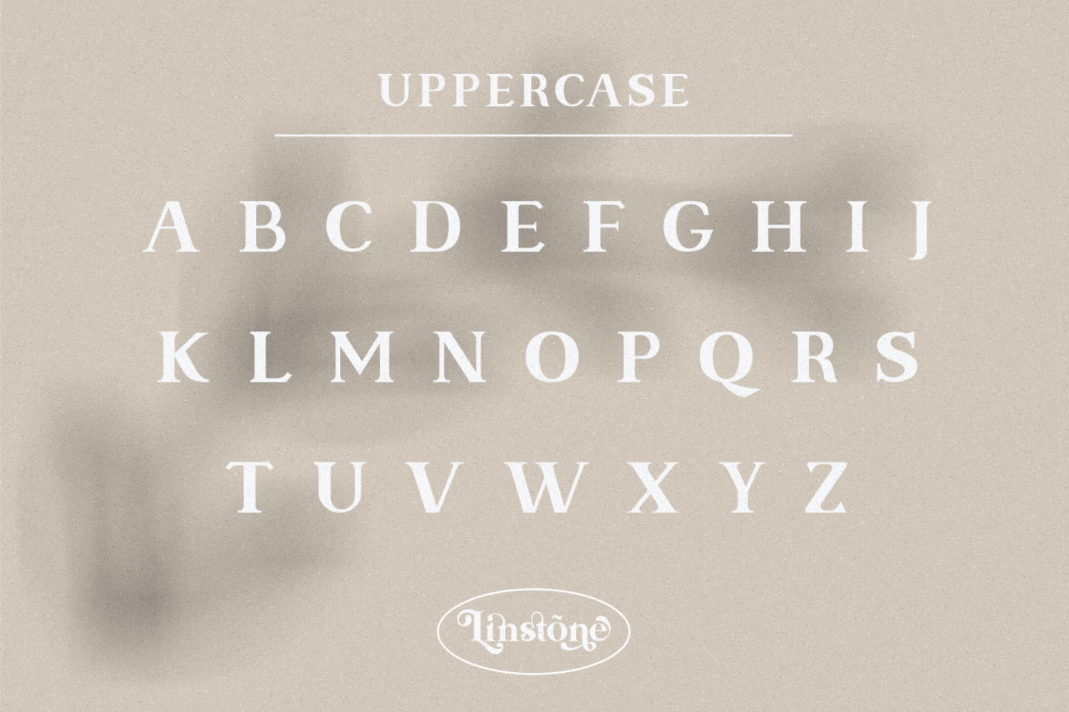 Linstone - modern serif — image 11