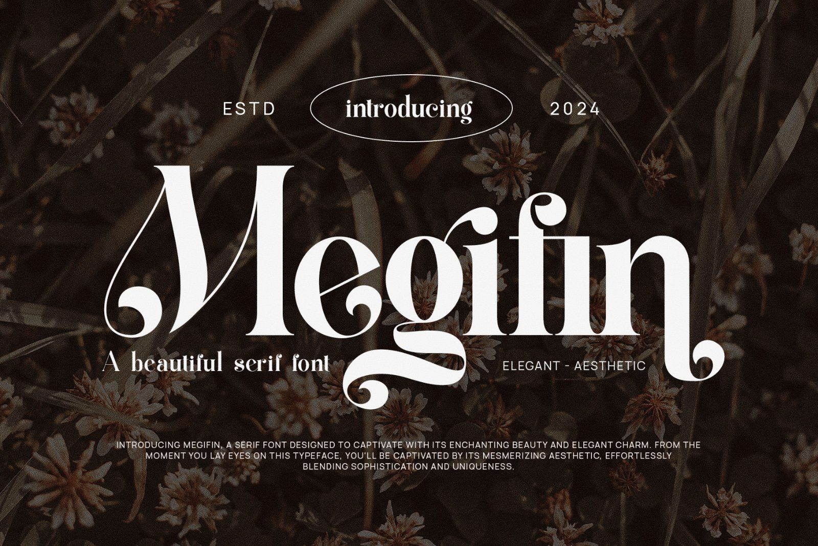 Megifin Beautiful Ligature Serif — image 1