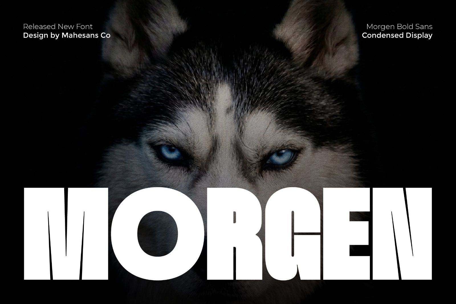 Morgen – Bold Condensed Display Font — image 1