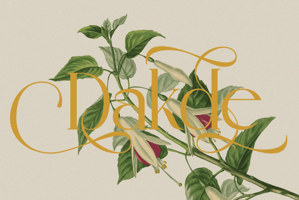 MADHIK BAGIMAR — Elegant Luxury Branding Font — image 12