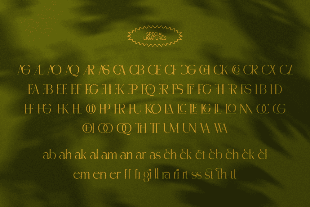 MADHIK BAGIMAR — Elegant Luxury Branding Font — image 18