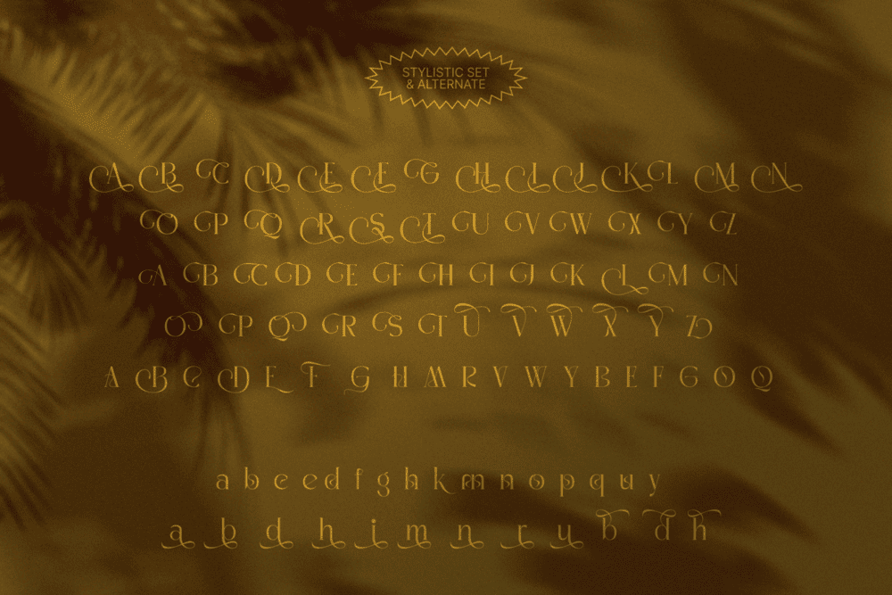 MADHIK BAGIMAR — Elegant Luxury Branding Font — image 19