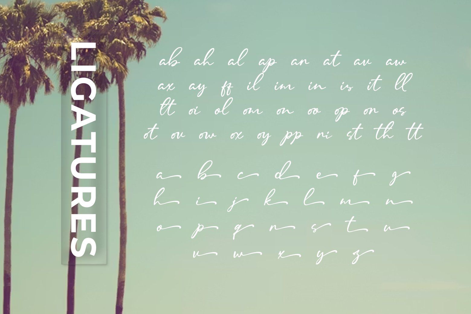 Malline Script — image 7