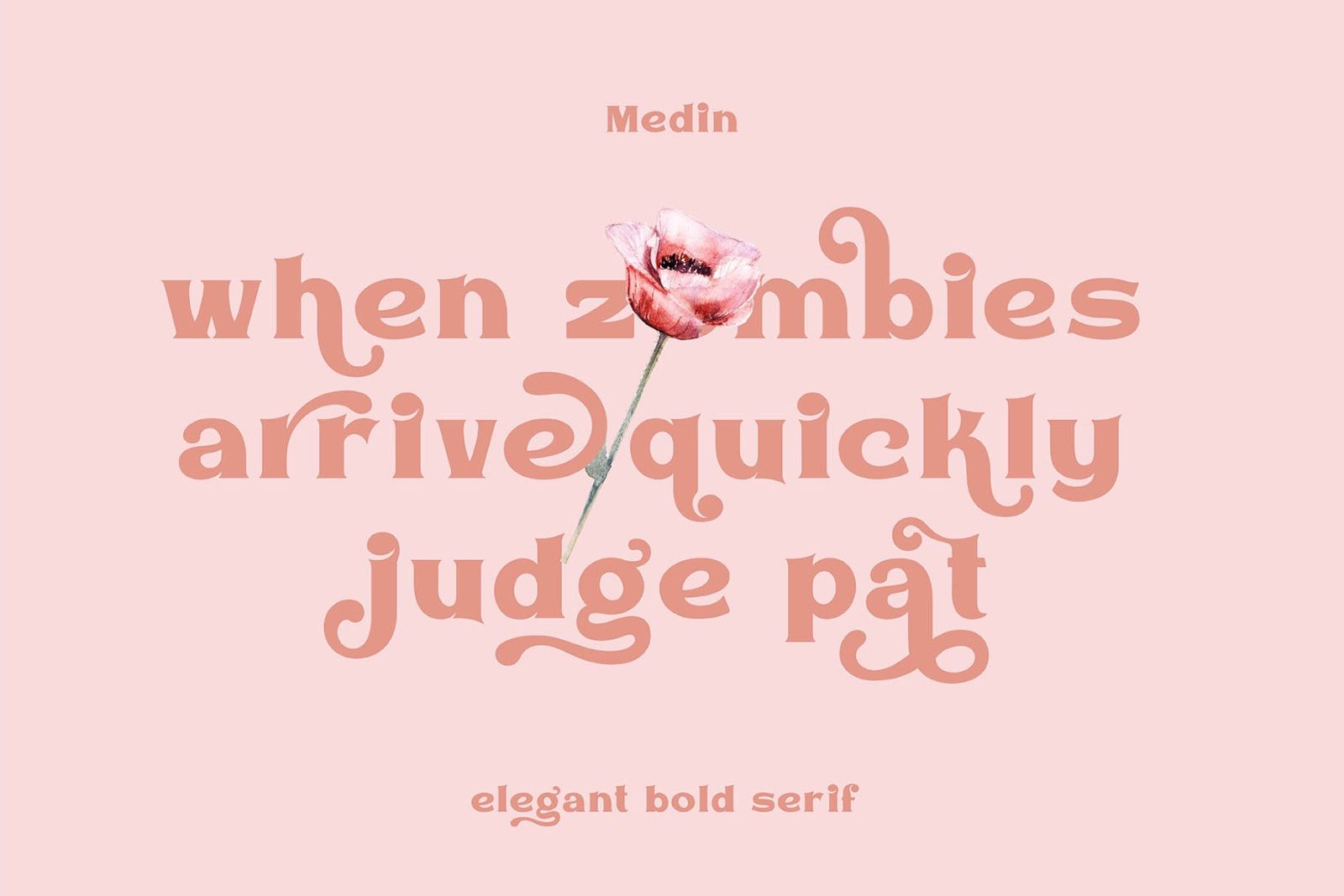 Medin – Elegant Bold Serif — image 5
