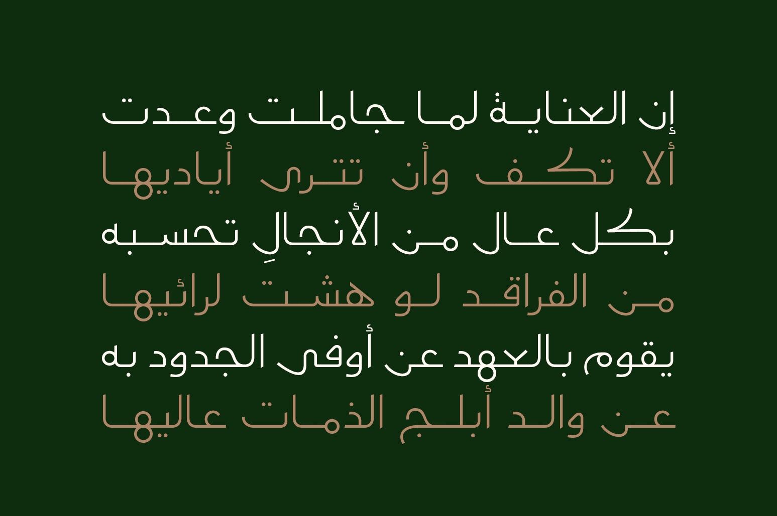 Moltaqa - Arabic Typeface — image 5