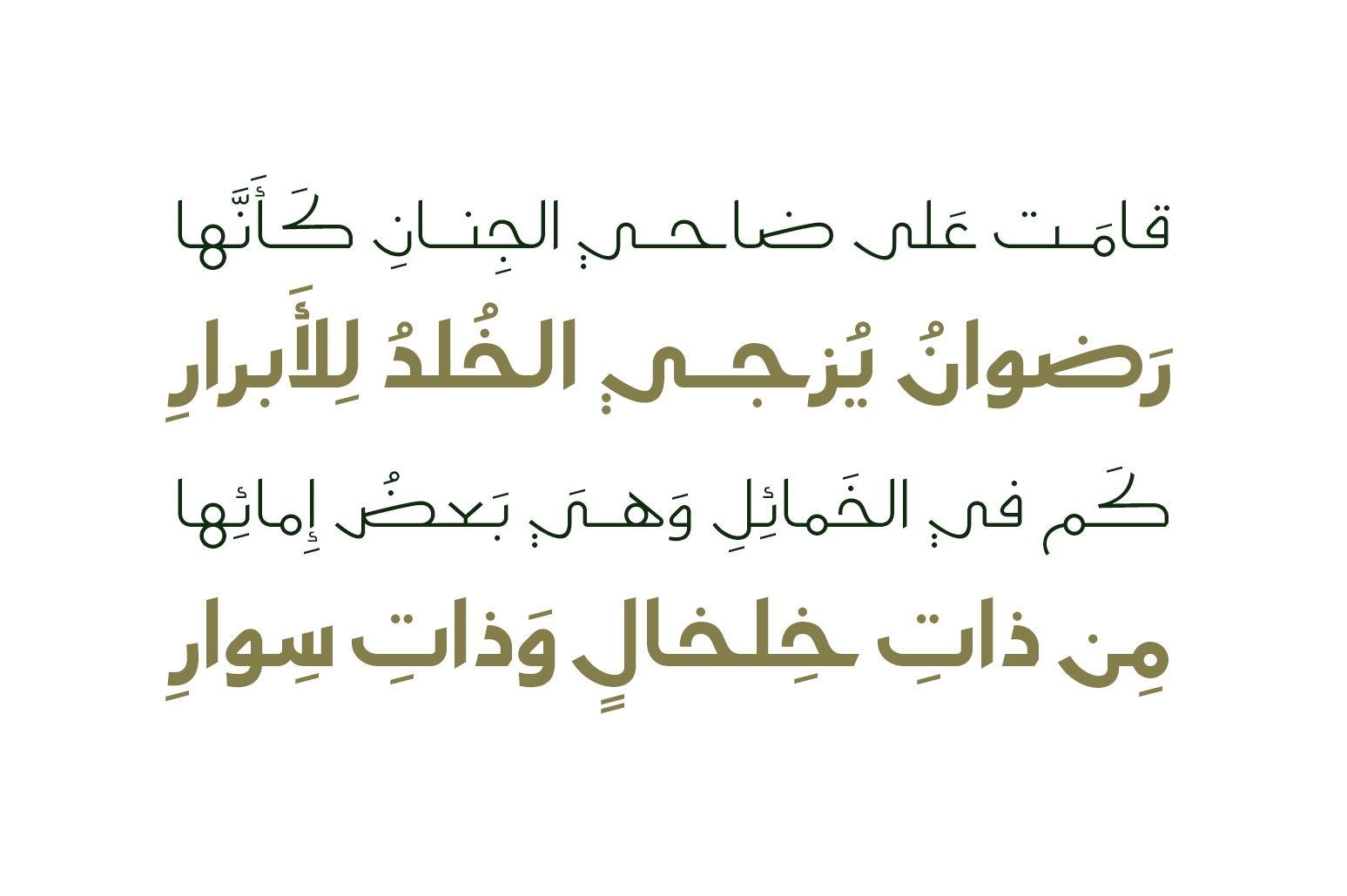 Moltaqa - Arabic Typeface — image 6