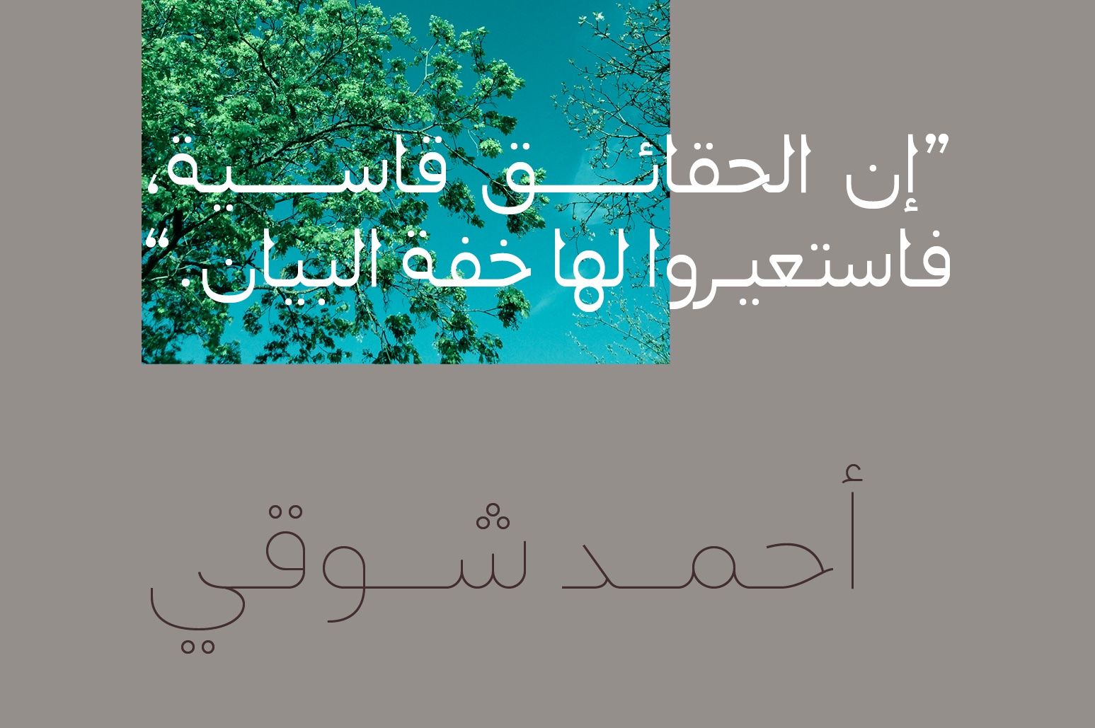 Montalaq - Arabic Typeface — image 10
