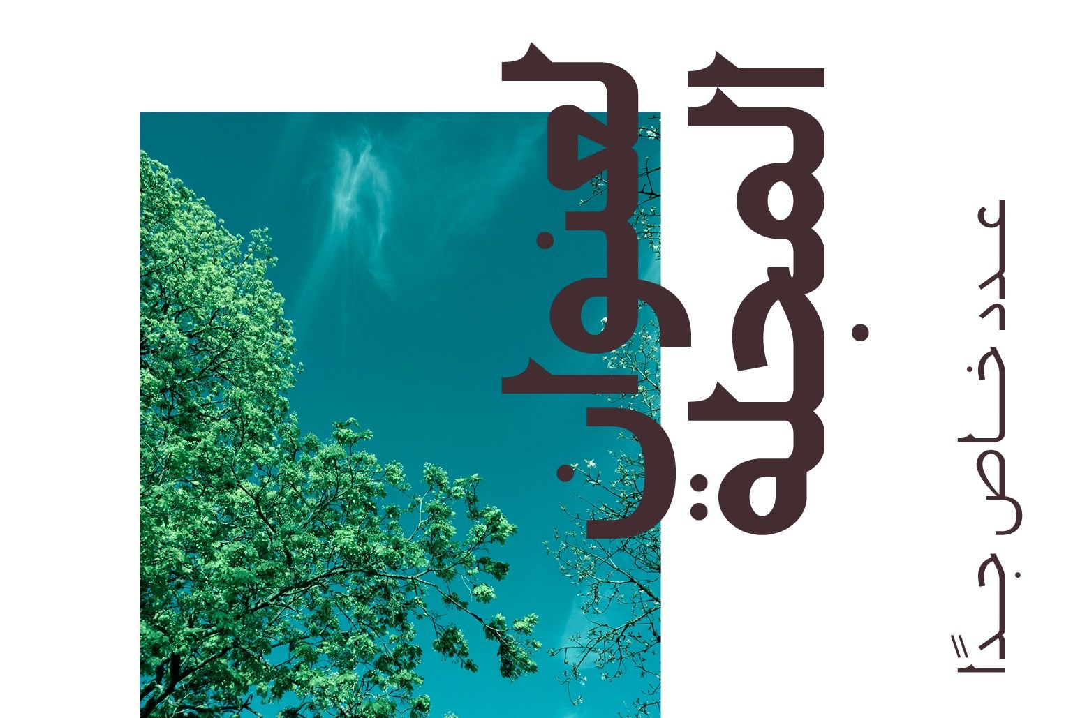 Montalaq - Arabic Typeface — image 9
