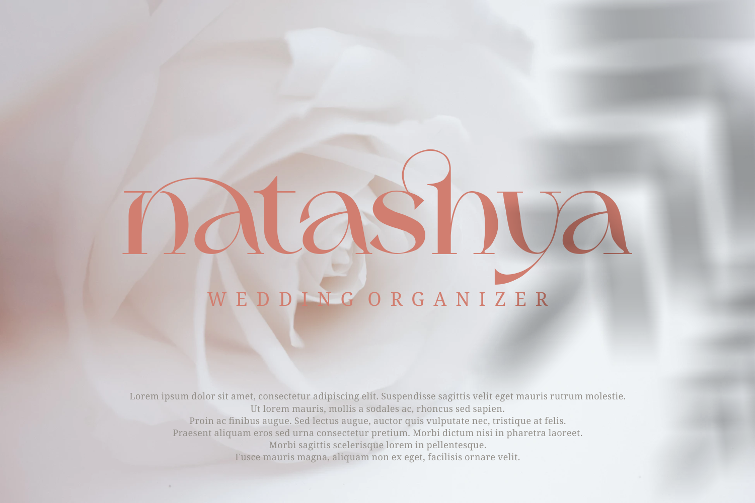 Mylanish _ unique modern typeface — image 4