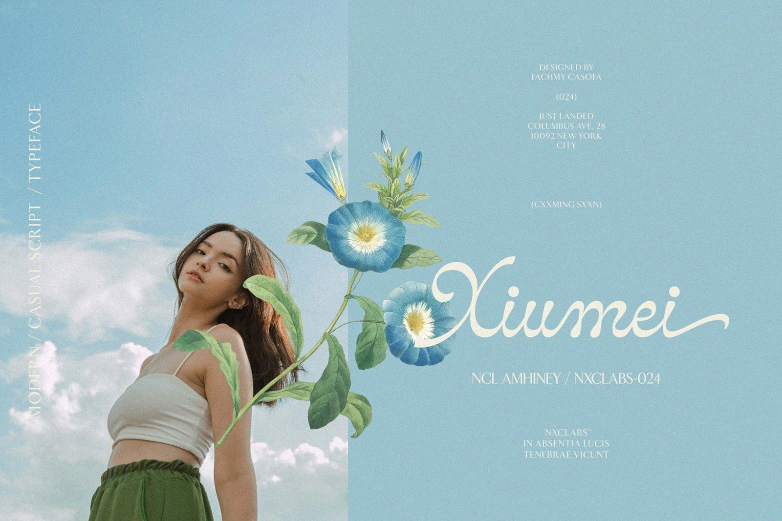 Amhiney — Elegant Script Calligraphy Font — image 6