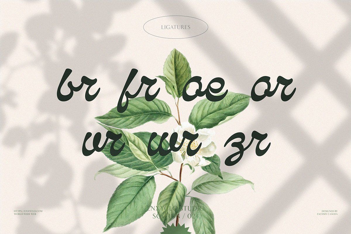 Qanproy Woldriug — Elegant Script Calligraphy Font — image 18