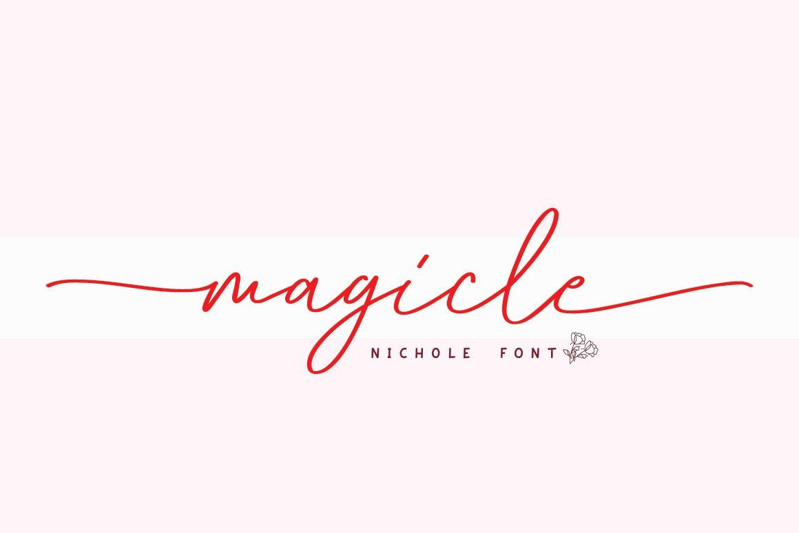 Nichole – Romantic Handwritten Script — image 4