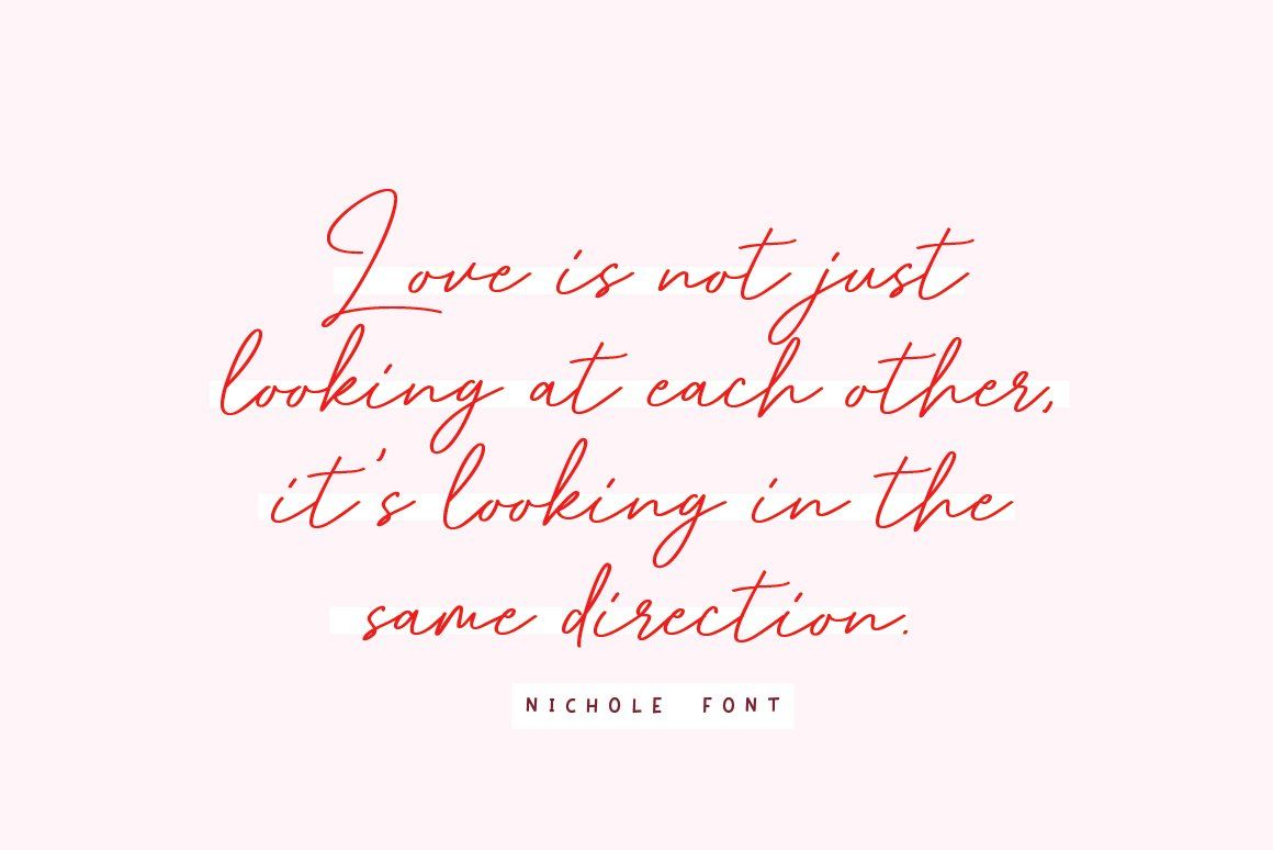 Nichole – Romantic Handwritten Script — image 5